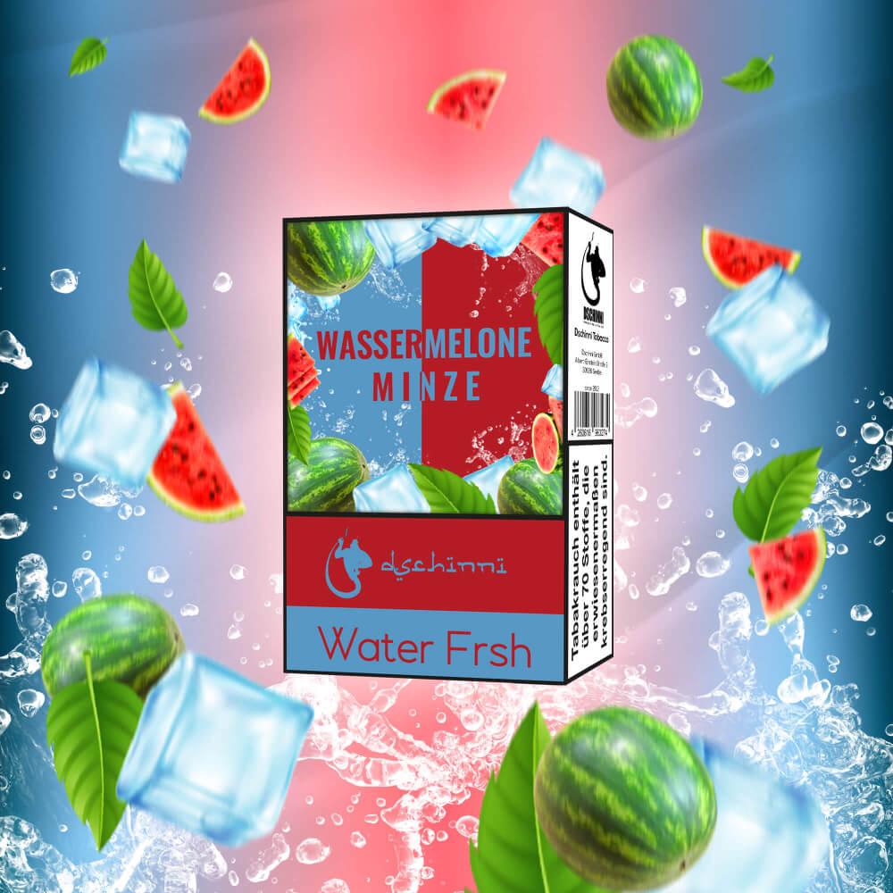 Shisha Tabak 25g Water Fresh Wassermelone Minze Verpackung umgeben von Wassermelone und Eiswürfeln